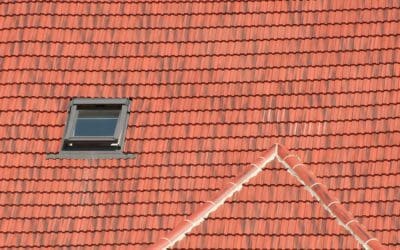 Repainting roof tiles: Why and how to do it?