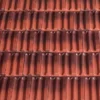 Burnt Ochre