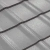 Silver Gum