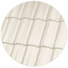 Seashell