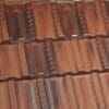 Tanbark