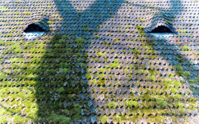 How to Source Replacement Roof Tiles After Storm or Hail Damage in NSW